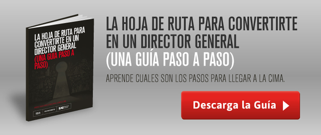 Hoja de ruta director general