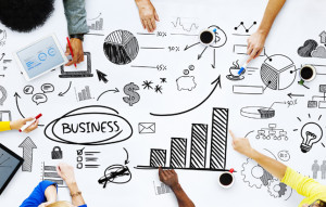 desarrollo de negocios